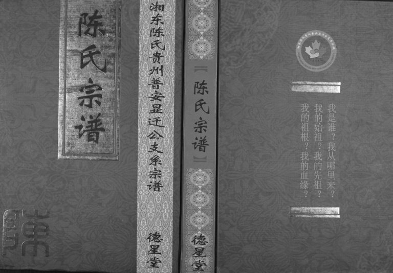 2016年修湘东陈氏贵州普安显迁公支系宗谱 德星堂陈氏完整电子版家谱下载