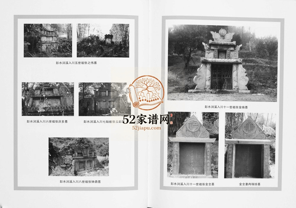 2014年修渝黔鄂张氏源流 张挥坤载世系传承 重庆 贵州 湖北张氏电子版家谱下载