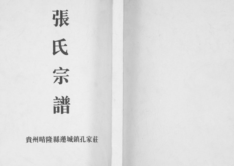 1995年修贵州晴隆县莲城镇孔家庄张氏宗谱完整电子版家谱下载