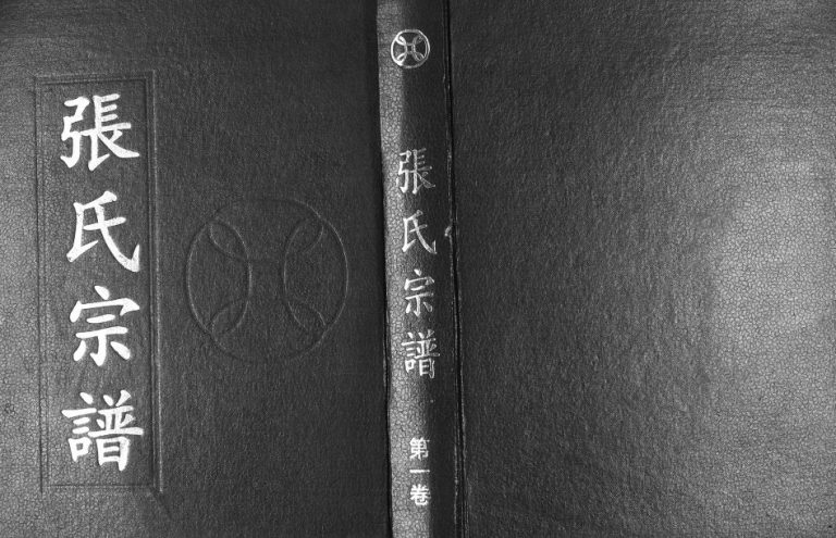 1999年修张氏宗谱 贵州纳雍张氏第一卷电子版家谱下载