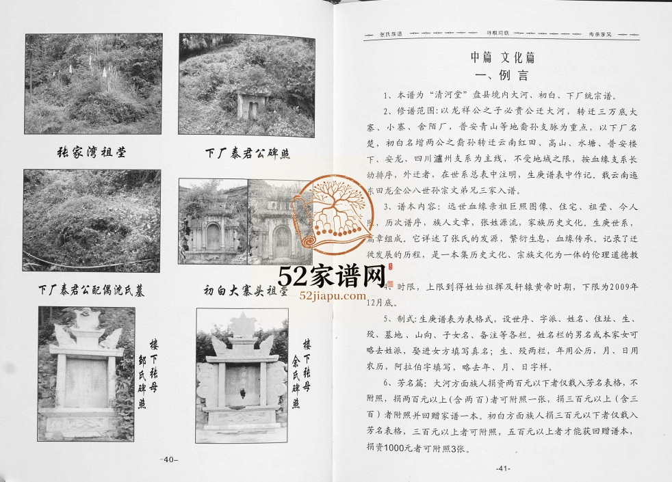 2009年修清河堂张氏支谱 贵州盘州清河堂张氏完整电子版家谱下载