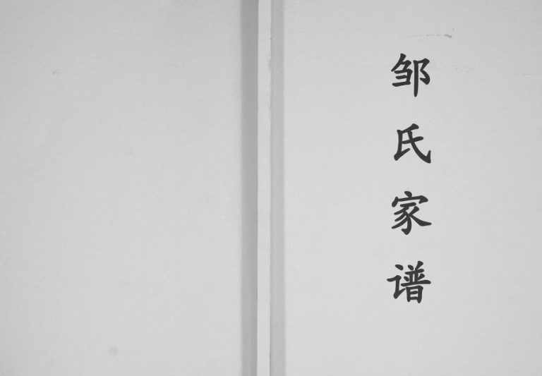 1991年修邹氏家谱[不分卷]贵州盘州邹氏完整电子版家谱下载