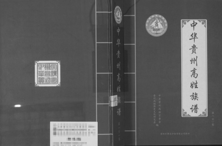 2016年修中华贵州省高姓族谱完整电子版家谱下载