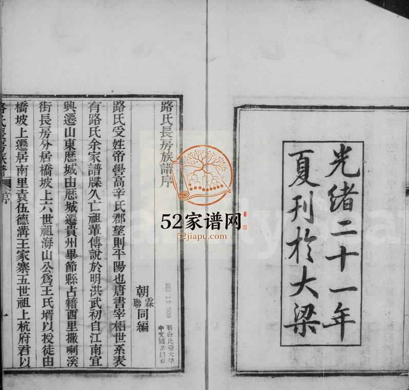 1895年修毕节路氏长房族谱 贵州路氏完整电子版家谱下载