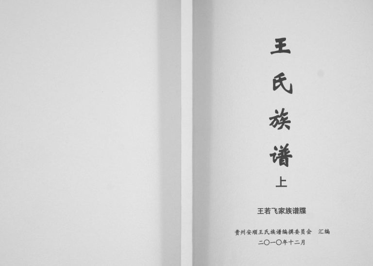 2010年修王氏族谱王若飞家族谱牒[不分卷]贵州安顺三槐堂王氏完整电子版家谱下载