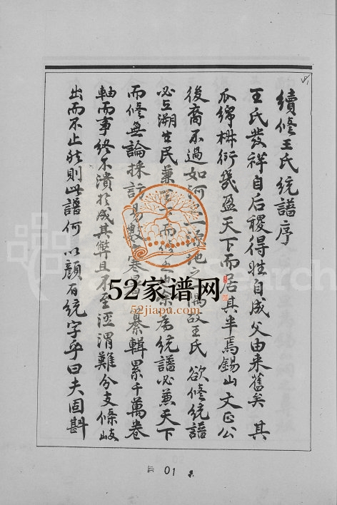 1993年修贵州省开阳县双流镇双流王氏家谱 贵州开阳-台湾完整电子版家谱下载