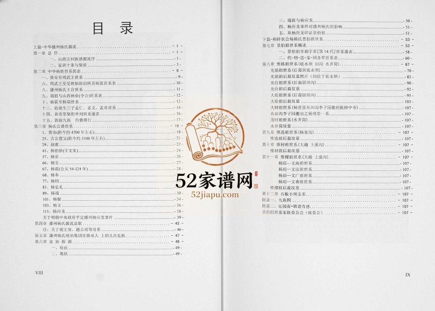 2012年修杨氏家谱贵州桐梓农会场杨氏景伯祖世系 完整电子版家谱下载