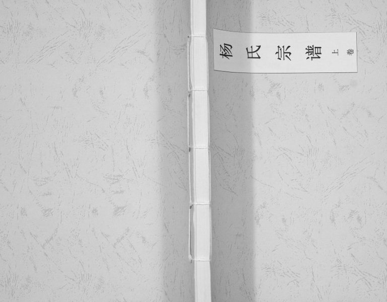 2013年修杨氏宗谱 贵州绥阳四知堂杨氏完整电子版家谱下载