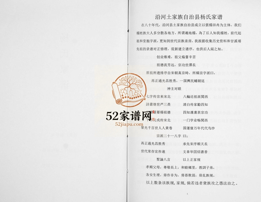 2015年修沿河土家族自治县杨氏家谱[不分卷]贵州杨氏完整电子版家谱下载