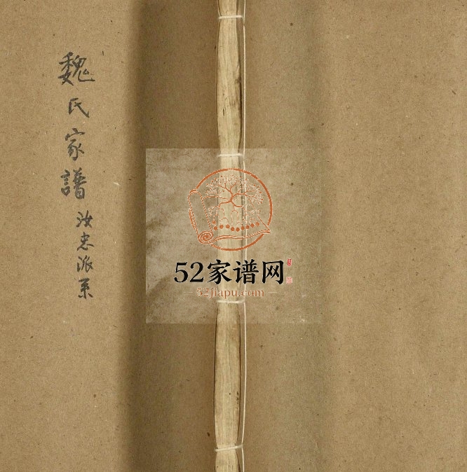 1909年修魏氏家谱汝忠派系 海南魏氏电子版家谱下载