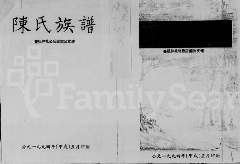 1994年修陈氏族谱 豪祖仲礼公后应韶公支谱 海南定安永思堂陈氏电子版家谱下载