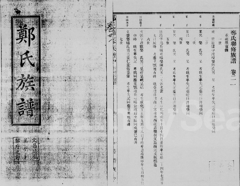 郑氏族谱[存卷]海南文昌书带草堂电子版家谱下载