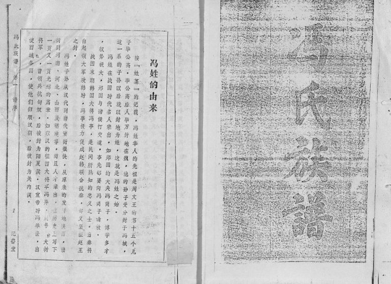 1988年续修冯氏族谱 海南万宁纪善堂冯氏电子版家谱下载