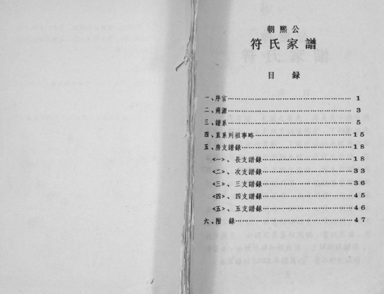1995年修朝熙公符氏家谱[不分卷]海南万宁符氏电子版家谱下载
