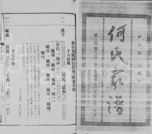 1989年续修何氏何仁德公家谱[存卷]海南琼山-定安-文昌庐江郡三英堂何氏电子版家谱下载