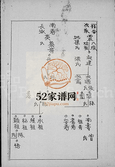 1982年修荔枝塘村唐氏修家谱 海南文昌特奏堂完整电子版家谱下载