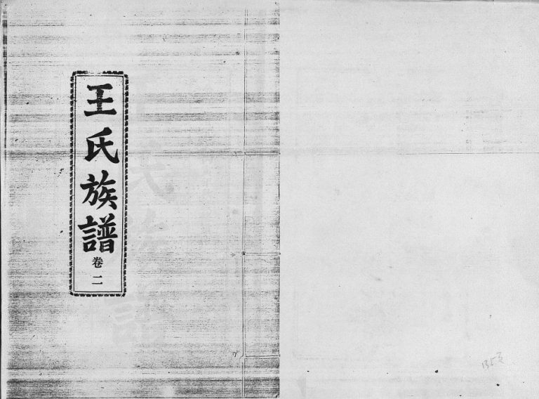 1986年修龙梅王氏族谱(5卷)海南定安复亨堂王氏完整电子版家谱下载