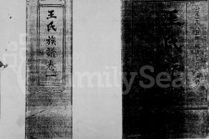 1985年修王氏族谱[9卷]海南琼海尊三堂王氏完整电子版家谱下载