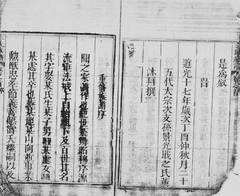 1872年修王氏族谱[残卷]海南琼山-澄迈燕贻堂王氏电子版家谱下载
