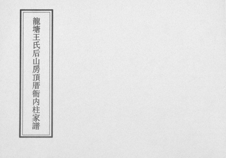 1989年修龙塘王氏后山房顶厝衙内柱家谱 海南海口王氏完整电子版家谱下载