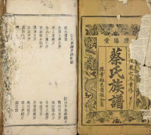 1868年修蔡氏大成族谱[不分卷]江西丰城济阳堂蔡氏电子版家谱下载