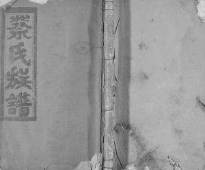 1935年修蔡氏大成族谱[不分卷]江西丰城济阳堂蔡氏电子版家谱下载