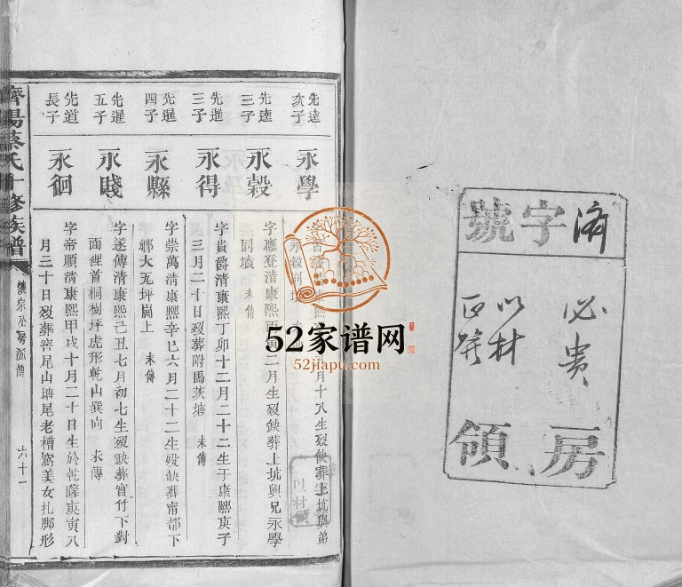 1915年济阳蔡氏十修族谱 江西石城蔡氏完整电子版家谱下载