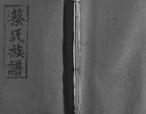 1988年修济阳堂蔡氏大成族谱 江西丰城蔡氏完整电子版家谱下载