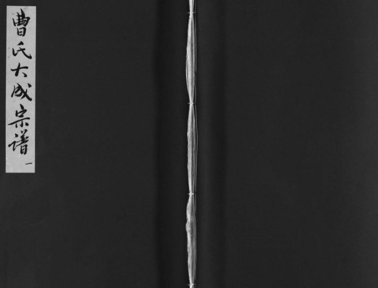 1733年修曹氏大成宗谱[不分卷]江西都昌-湖口-九江曹氏电子版家谱下载