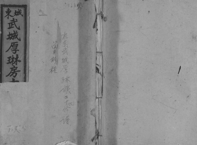 1947年修城东武城曾氏政房十九修族谱[不分卷]江西宁都曾氏完整电子版家谱下载