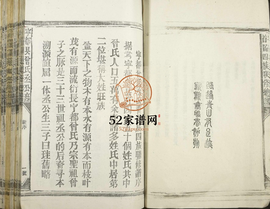 1995年宁都曾氏丞公裔首届四族联修谱[不分卷]江西宁都曾氏电子版家谱下载