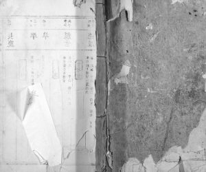 1899年抚乐善和妙杭曾氏重修族谱[不分卷]江西乐平曾氏电子版家谱下载