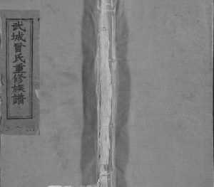 1995年修武城曾氏宗谱[不分卷]江西玉山 横山 广丰 浙江衢州曾氏完整电子版家谱下载