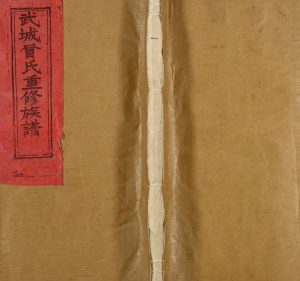 1995年修武城曾氏宗谱 江西广信曾氏完整电子版家谱下载