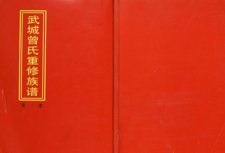 2012年武城曾氏重修族谱 江西宁都社溪曾氏十修族谱完整电子版下载