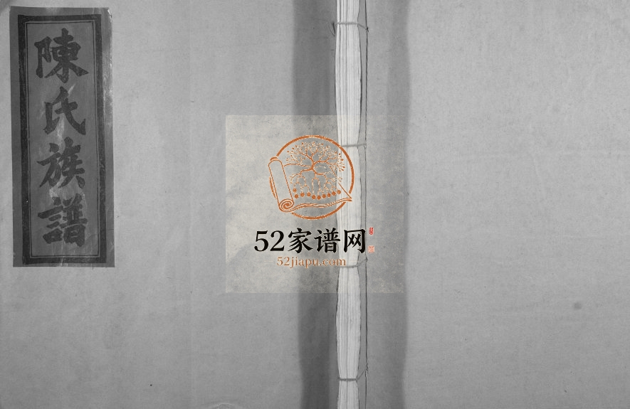 1996年信丰陈嘉会公派下七修玉牒[不分卷]江西陈氏完整电子版家谱下载