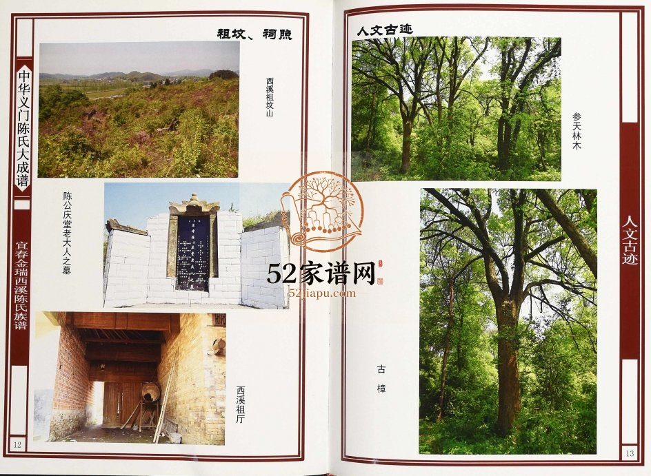 2013年修中华义门陈氏大成谱宜春金瑞西溪陈氏族谱 江西颍川堂完整电子版家谱下载