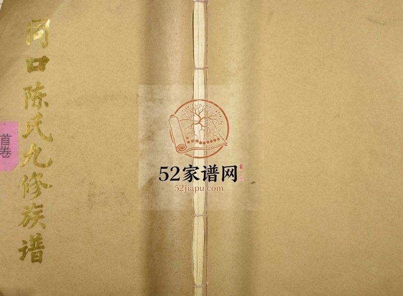 1995年宁都同口村陈氏九修族谱[4卷含首卷]江西陈氏电子版家谱下载