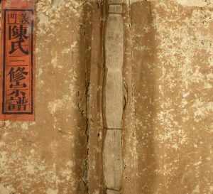 1842年永宁陈氏三修族谱 江西宁都陈氏完整电子版家谱下载