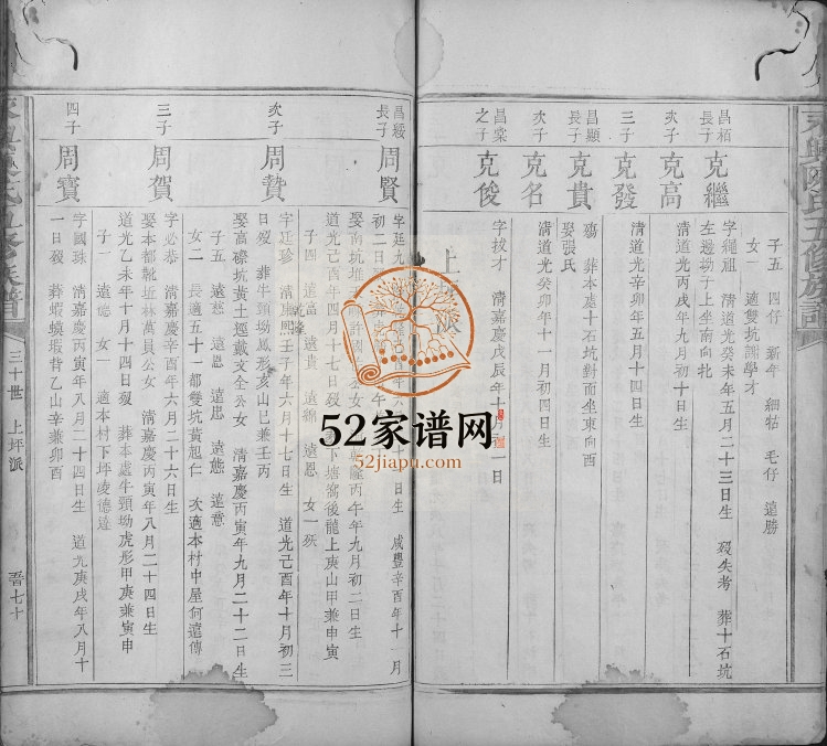 1873年永兴陈氏五修族谱 湖南郴州陈氏电子版家谱下载