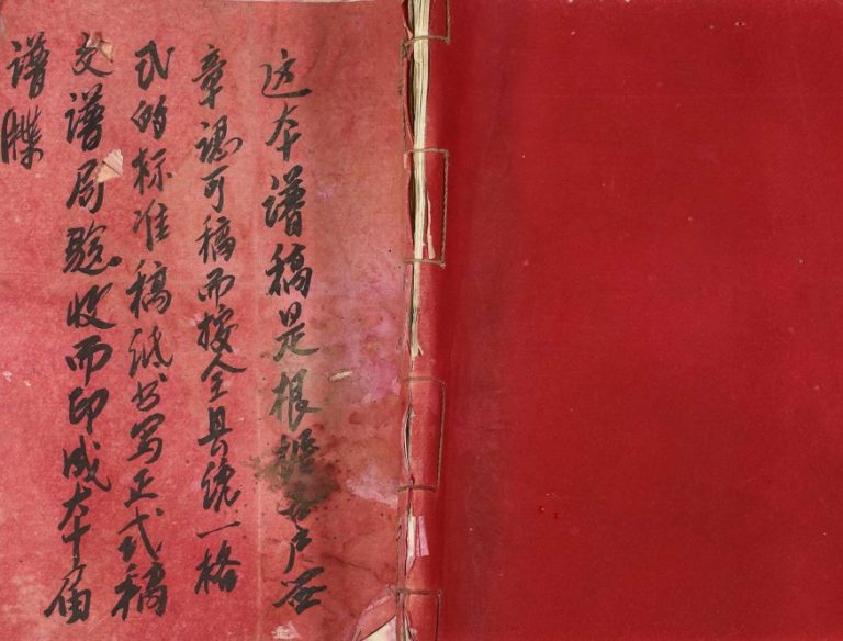 1995年瑞金县陈氏联修族谱 江西陈氏完整电子版家谱下载