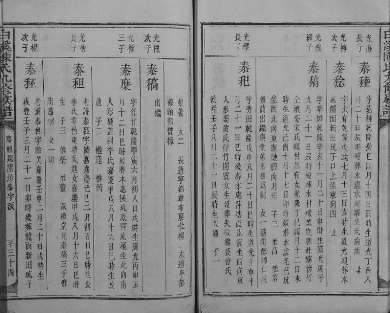 1855年白溪陈氏九修族谱 江西石城陈氏电子版家谱下载