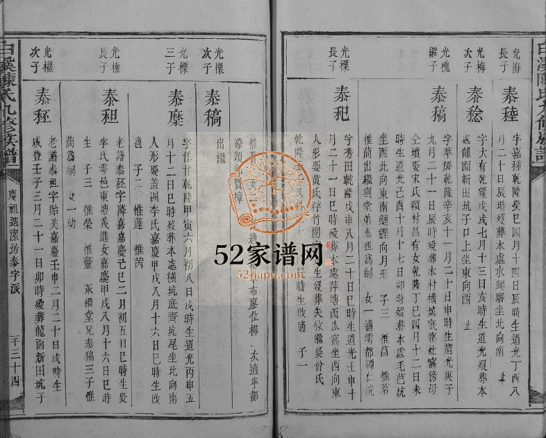 1855年白溪陈氏九修族谱 江西石城陈氏电子版家谱下载