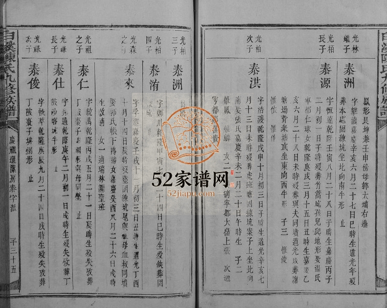 1855年白溪陈氏九修族谱 江西石城陈氏电子版家谱下载