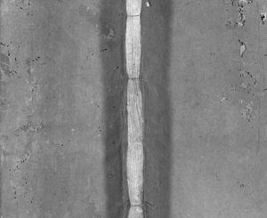 1901年六修石城陈坊陈氏族谱[54卷]江西赣州陈氏电子版家谱下载