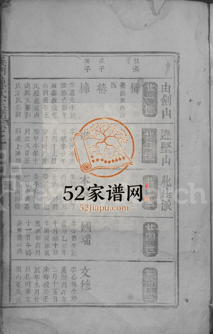 1846年修义门陈氏宗谱 江西湖口陈氏电子版族谱下载