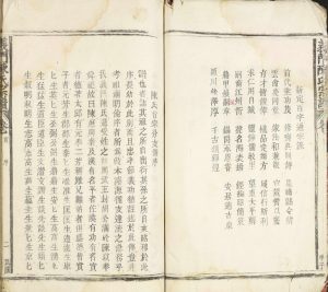 1925年修义门陈氏宗谱 江西九江陈氏完整电子版族谱下载