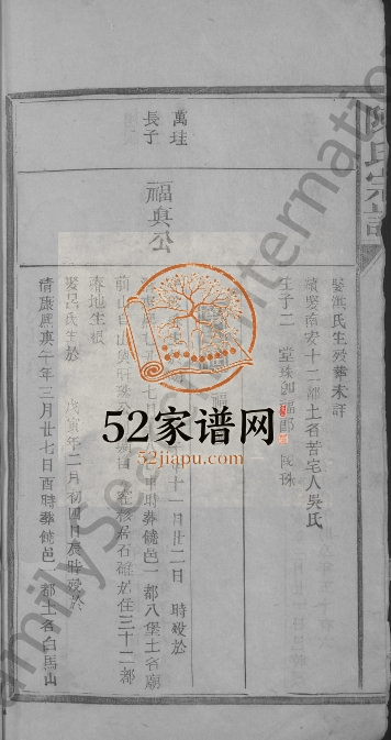 1918年修陈氏宗谱[3卷]江西广信陈氏电子版族谱下载