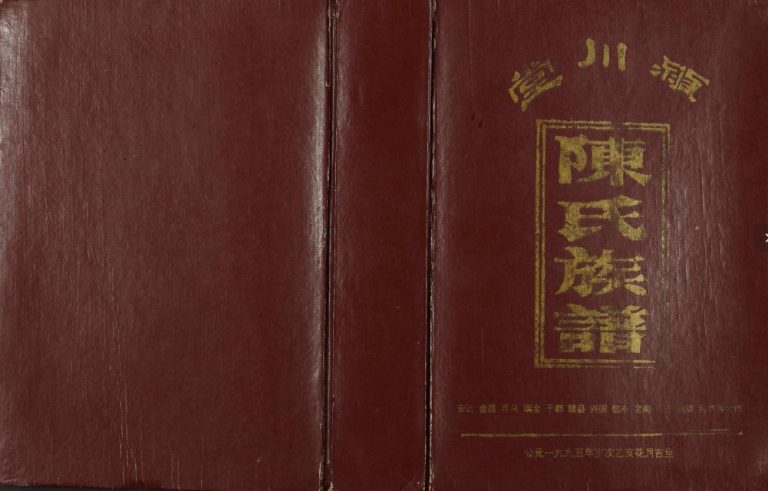 1995年修赣南陈氏合修族谱 江西赣州 瑞金 兴国 信丰 南康 台湾颖川堂陈氏完整电子版家谱下载