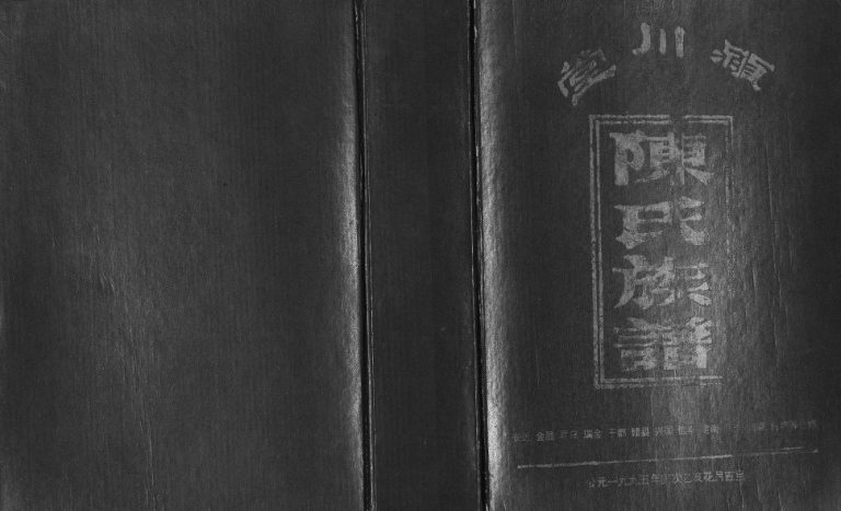 1995年颖川堂陈氏合修族谱[全3册]江西赣州 瑞金 于都 兴国 信丰 台湾陈氏完整电子版家谱下载